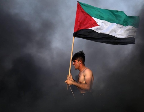 Galería de fotografías de Mohammed Zaanoun - Palestina