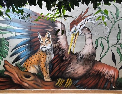 Gallery Of Street Art By Bailon - Brazil