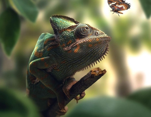 Galería de fotografías de Evgeny Gammer - Rusia