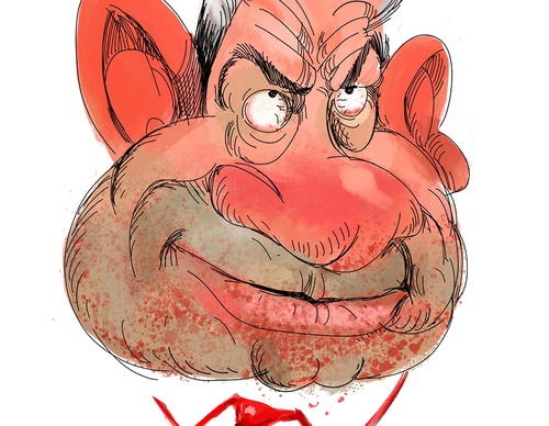 holocide caricature