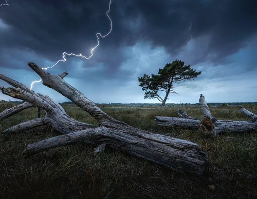 Gallery Of Photography By Albert Dros - Netherland