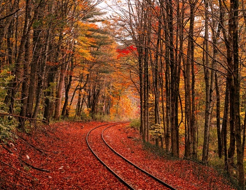 Gallery Of Photography By Jacob Rossi - USA