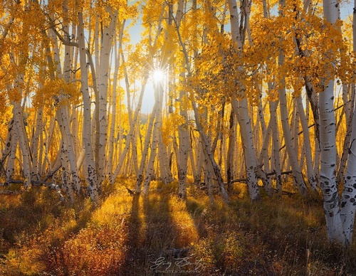 Galería de fotografía de Greg Boratyn - Argentina