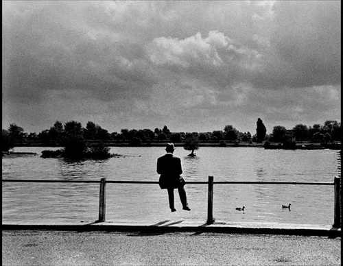 cornell capa