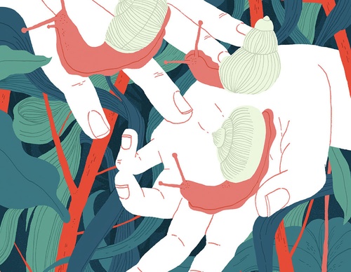 best illustrators