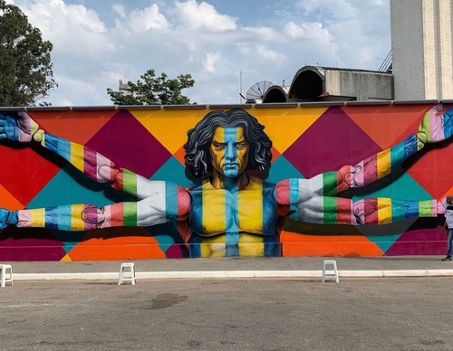 Gallery of street painting by Eduardo Kobra - Brazil