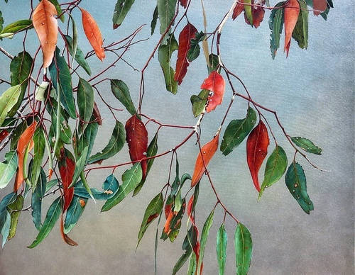 Gallery Of Visual Art By Carlo Batistella - Brazil