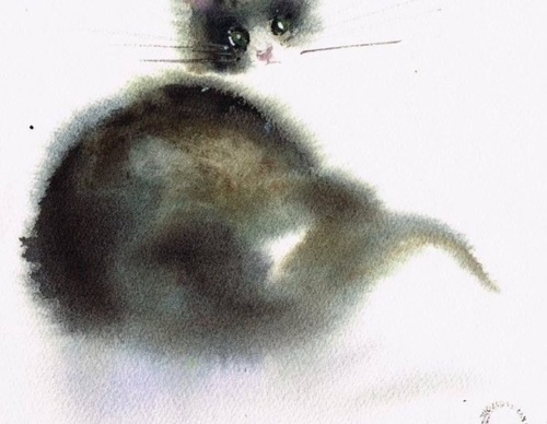 antonio giacomin
