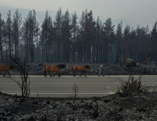 world press photo