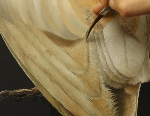 Galería de pintura realista de Annie Drew - Reino Unido