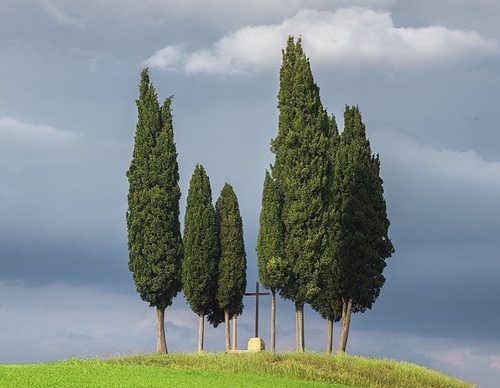 Gallery Of Photography By Marco Grassi - Argentina