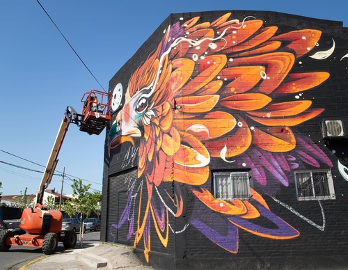 Gallery Of Street Art By Fio Silva - Argentina