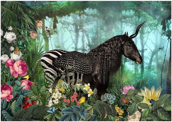 Galeria de Artes Digitais, Colagens e Ilustrações de André Sanchez - Brasil