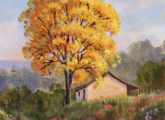 mario sergio freitas