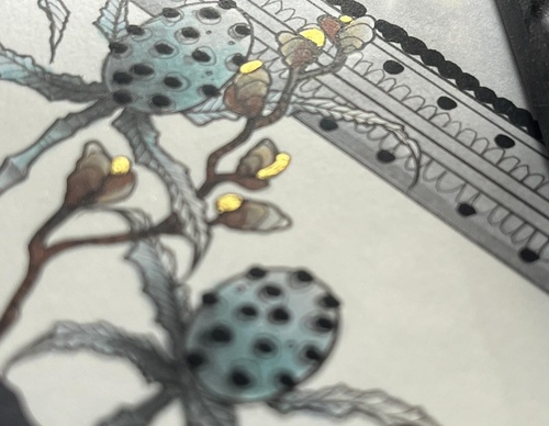 Galería de ilustraciones de Mallarie Bundy - EE. UU.