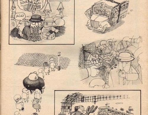 quino