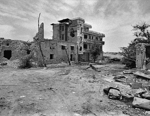 bahram mohammadifard