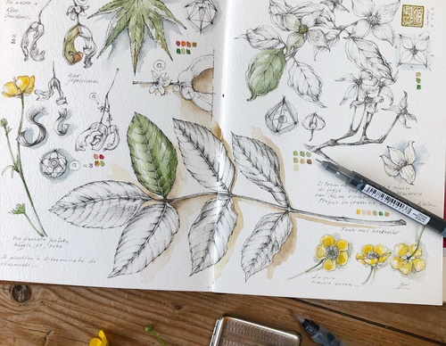 Gallery of Drawing by GiacoMina Ferrillo-Italy