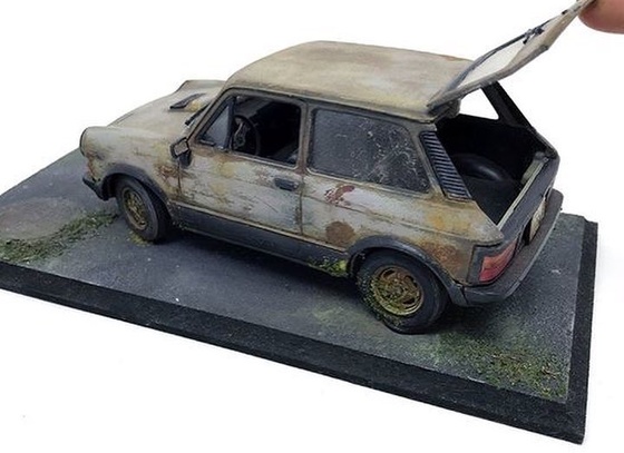 raphael truffi bortholuzzi brazil