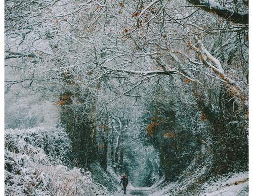 Gallery Of Photography By Daniel Casson - United Kingdom