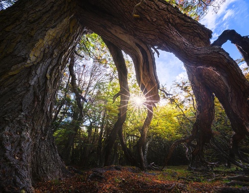 Gallery Of Photography By Rodrigo Viveros - Chile