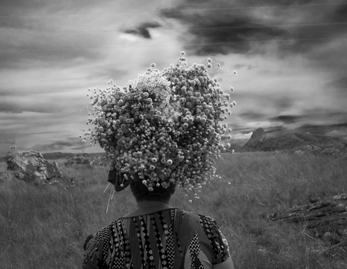 Gallery Of Photography By João Roberto Ripper - Brazil