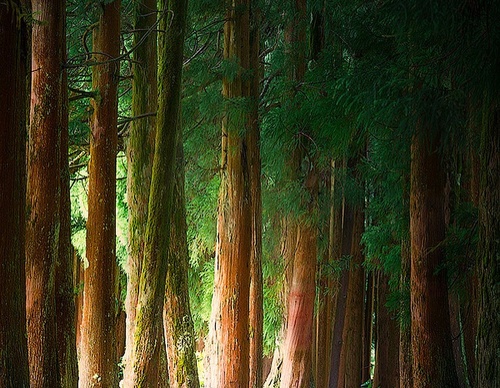 Gallery Of Photography By Isabella Tabacchi - Chile