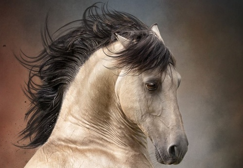 Gallery of Photography by Aga Karmol from Poland