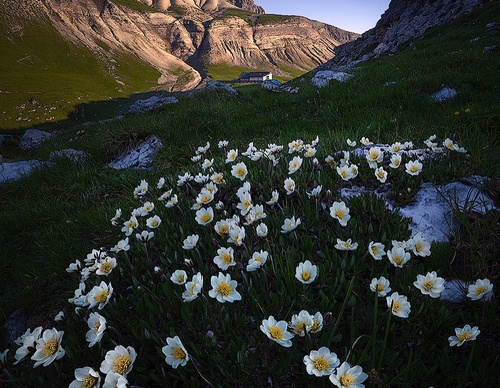 Gallery Of Photography By Isabella Tabacchi - Chile