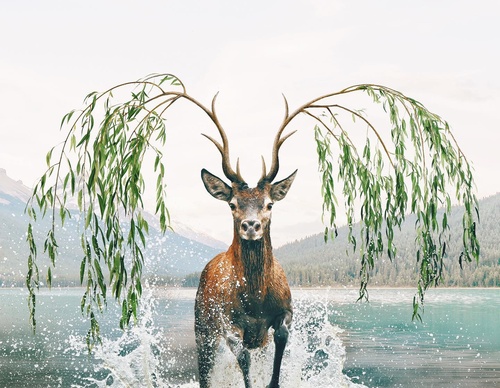 Galería De Ilustración De Luisa Azevedo - Portugal