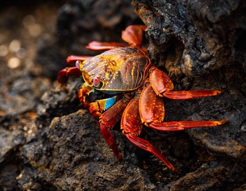 Gallery Of Photography By Fernando Faciole - Brazil