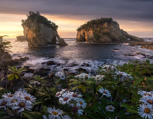Galeria de fotografias de William Patino - Nova Zelândia