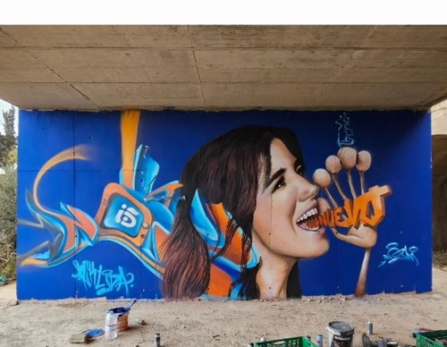 Galería de arte callejero de Nauni - España