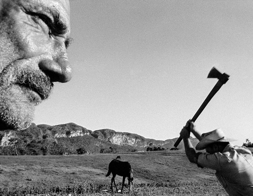 raul canibano