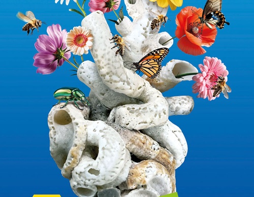 Galeria de Cartazes Selecionados da 18ª Bienal Internacional do Cartaz no México (Categoria B)