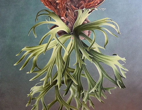 Gallery Of Visual Art By Carlo Batistella - Brazil