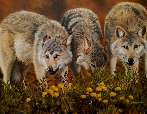 jorge castrillon