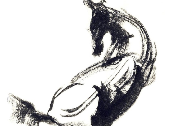 Hasan Roholamin