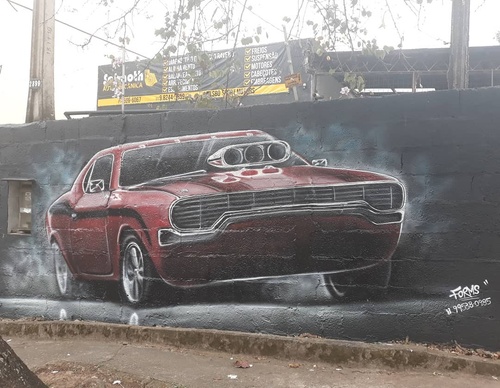 Gallery Of Street Art By Diego Forms - Brazil