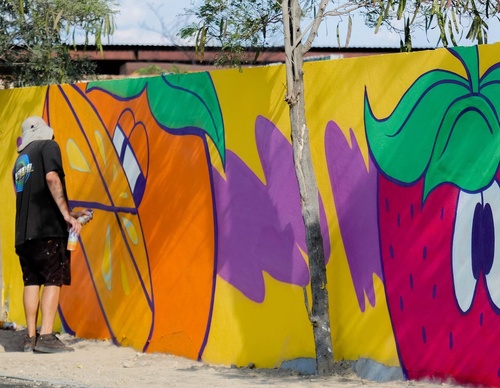 Gallery Of Street Art By Peemouh - Mexico