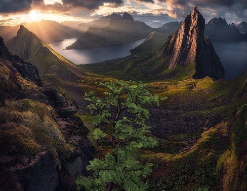 Gallery Of Photography By Max Rive - Netherlands