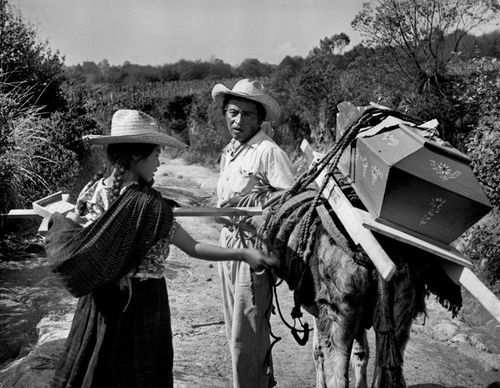 werner bischof