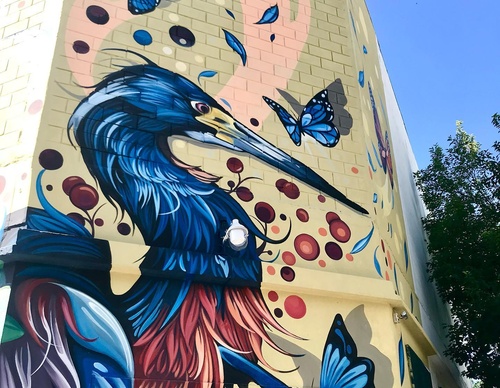 Gallery Of Street Art By Fio Silva - Argentina