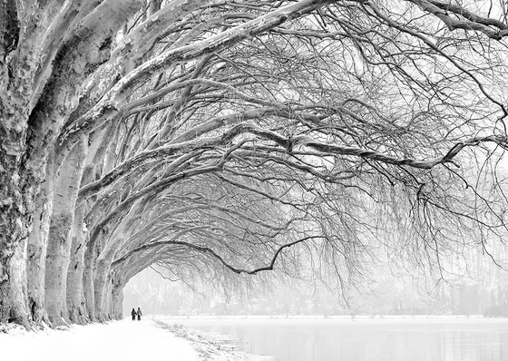 Gallery of photography by Nina Papiorek - Germany