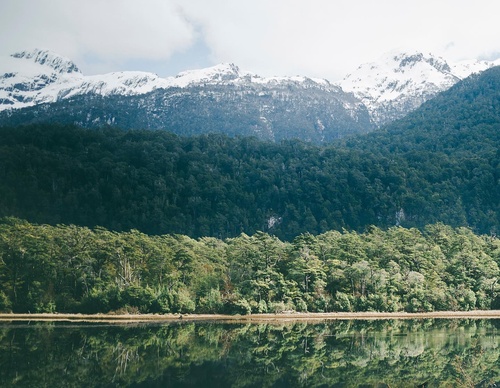 Gallery Of Photography By Rocio Del Valle - Chile