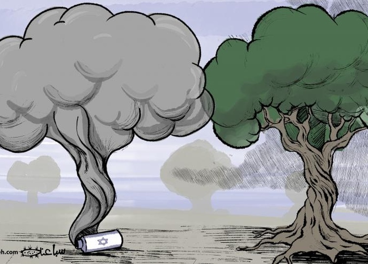 Palestinian vs. Israeli