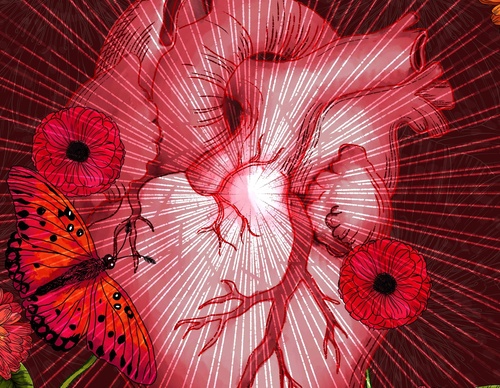 flora ara