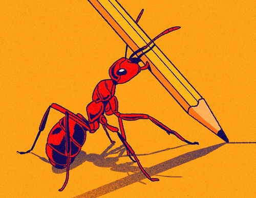 Galeria de ilustrações de Pequeño Capitan - México