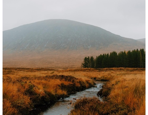Gallery Of Photography By Daniel Casson - United Kingdom