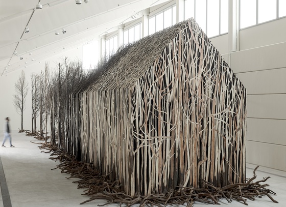 Doris Salcedo